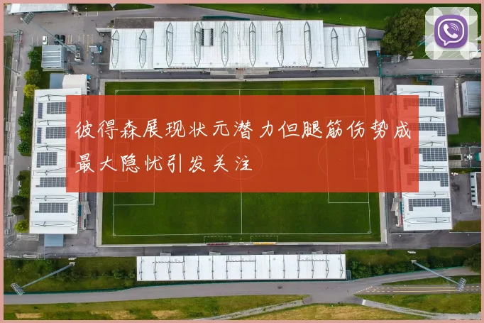 彼得森展现状元潜力但腿筋伤势成最大隐忧引发关注
